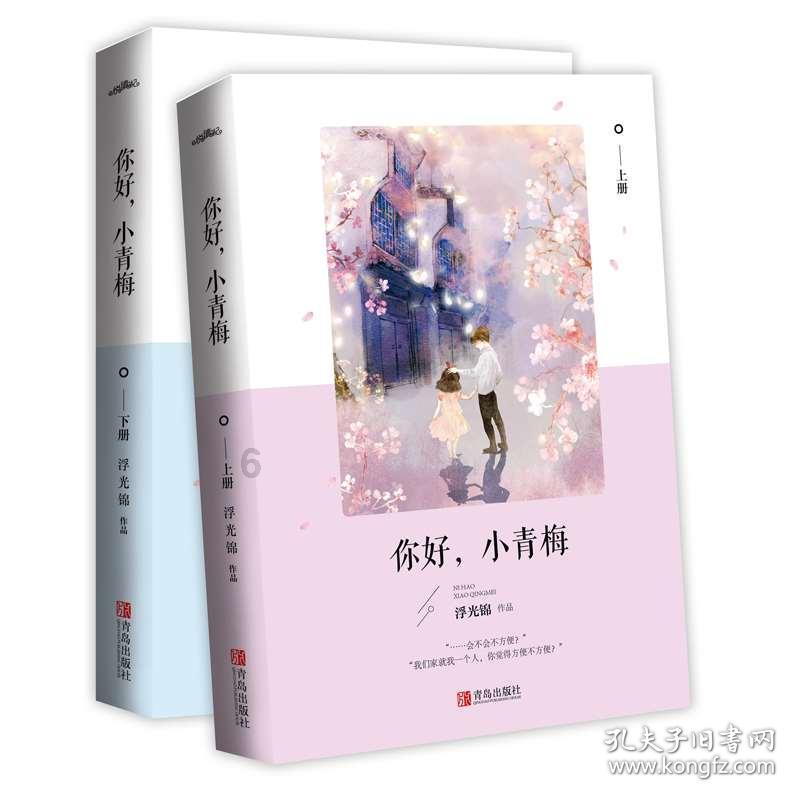 甲基丙烯酰化海藻酸钠 Alginate Methacryloyl, AlgMA