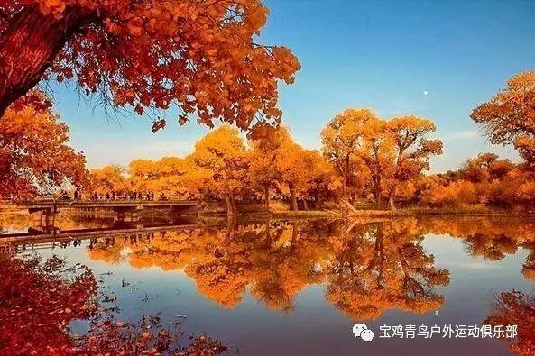健身房逃生记